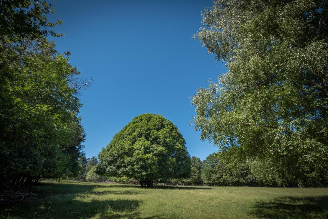 Domaine De Malouzies